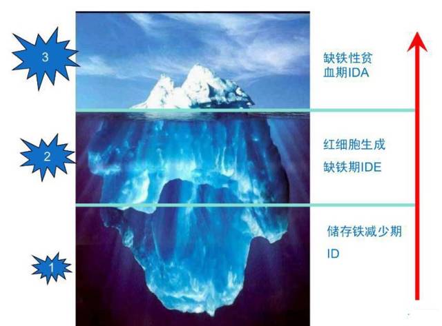 早产儿需要补铁吗(早产儿补铁需要多久为一疗程)-硒宝网