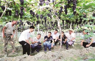 锌硒宝寿宁哪里有卖（锌硒宝哪里有卖）-硒宝网