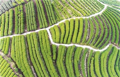 锌硒宝寿宁哪里有卖（锌硒宝哪里有卖）-硒宝网