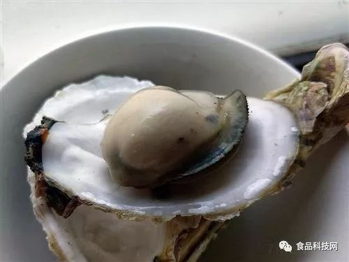 吃什么能补锌食物最好（食补锌吃什么）-硒宝网