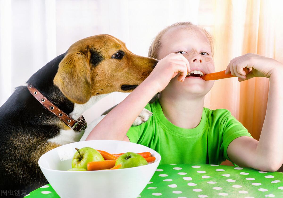 狗狗吃什么可以补钙(狗狗补钙有用吗)-硒宝网