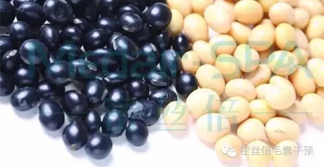 脱发缺什么微量元素（缺脱发微量元素有哪些）-硒宝网