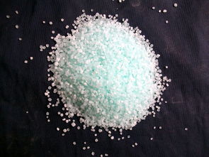 哪种铁剂补铁效果好（补铁的肥料有哪些）-硒宝网