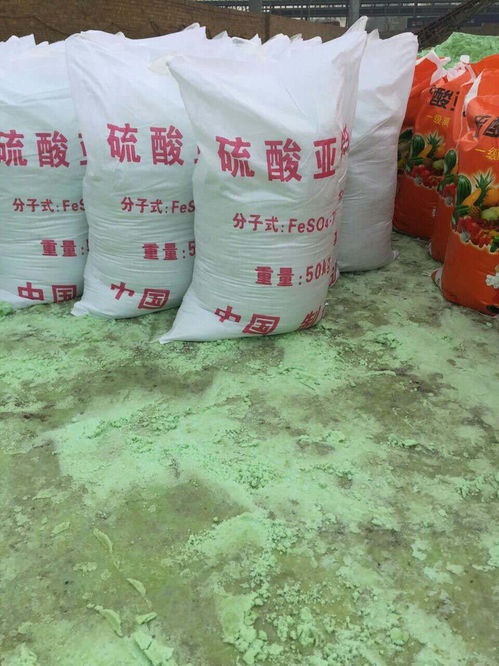 哪种铁剂补铁效果好（补铁的肥料有哪些）-硒宝网