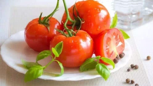 补铁菜有哪些(补铁的菜是什么)-硒宝网