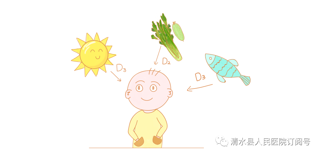 维生素ad能补钙吗(维生素ad可以补钙嘛)-硒宝网