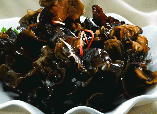 补铁菜有哪些(吃菜补铁)-硒宝网