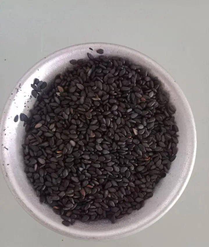 黄豆可以补钙吗(黄豆补钙可以吃吗)-硒宝网