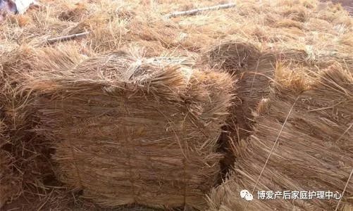 锌硒宝片可以喝水吗（喝水锌片宝硒可以长高吗）-硒宝网