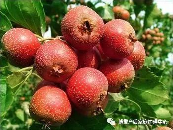 锌硒宝片可以喝水吗（喝水锌片宝硒可以长高吗）-硒宝网