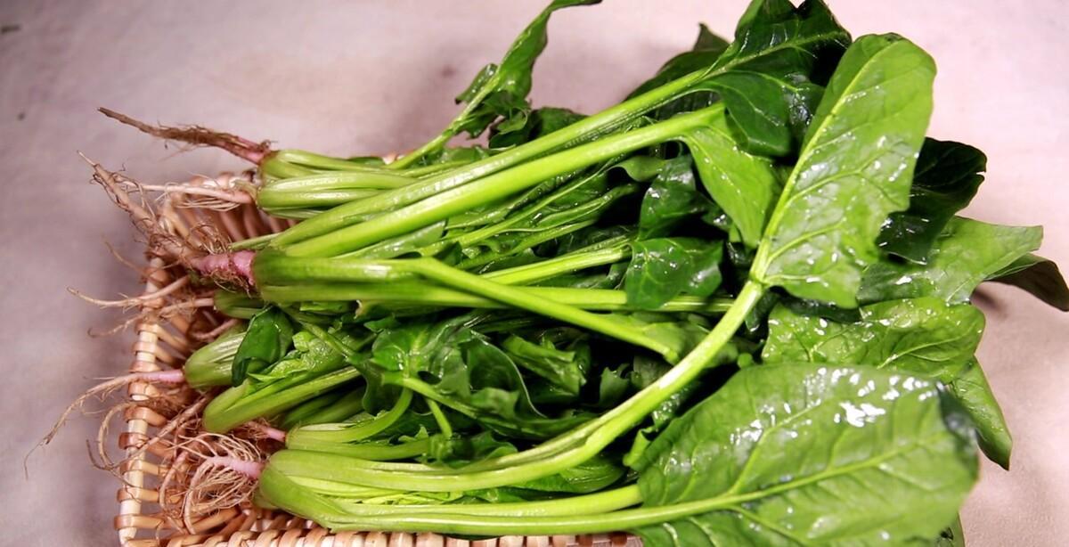 贫血是不是要补铁（贫血补铁要补多久）-硒宝网