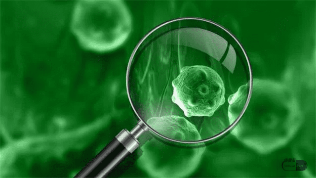 蛋白锌硒宝含激素吗（蛋白锌激素含宝硒元素吗）-硒宝网