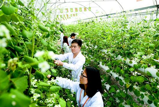 蛋白锌硒宝含激素吗（蛋白锌激素含宝硒元素吗）-硒宝网