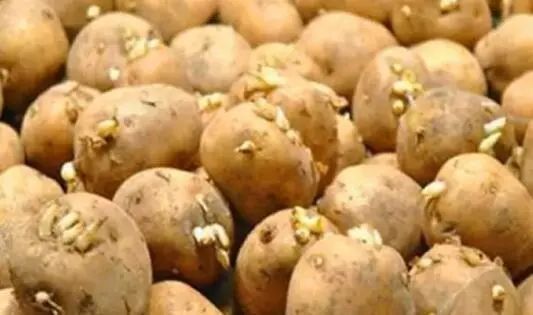 锌硒宝是什么功效的(锌硒宝是保健品吗)-硒宝网