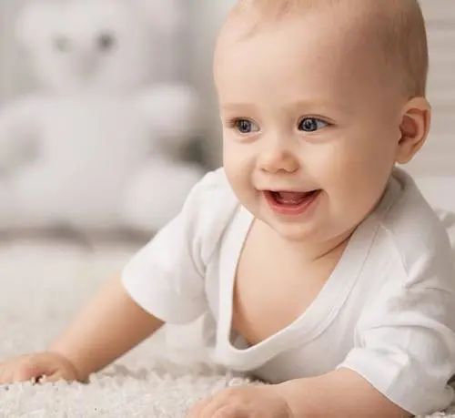 什么食物补铁(食物补铁排行榜)-硒宝网