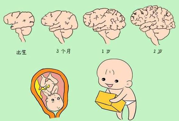 锌硒宝对儿童的作用（儿童锌硒宝）-硒宝网