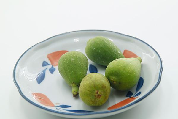 缺乏微量元素应该补什么（缺乏微量补元素应该吃什么）-硒宝网