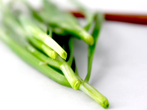 十大补钙水果（吃什么水果补钙）-硒宝网