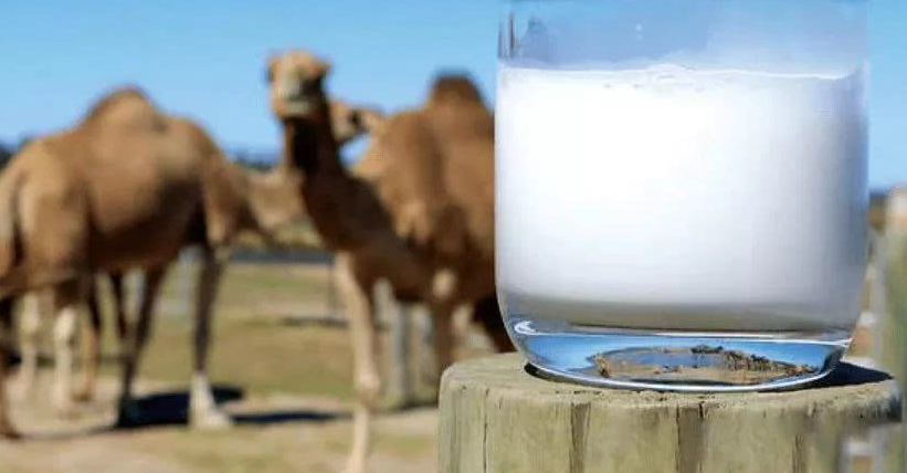 锌硒宝好还是叶酸好（叶酸和锌硒宝哪个好）-硒宝网