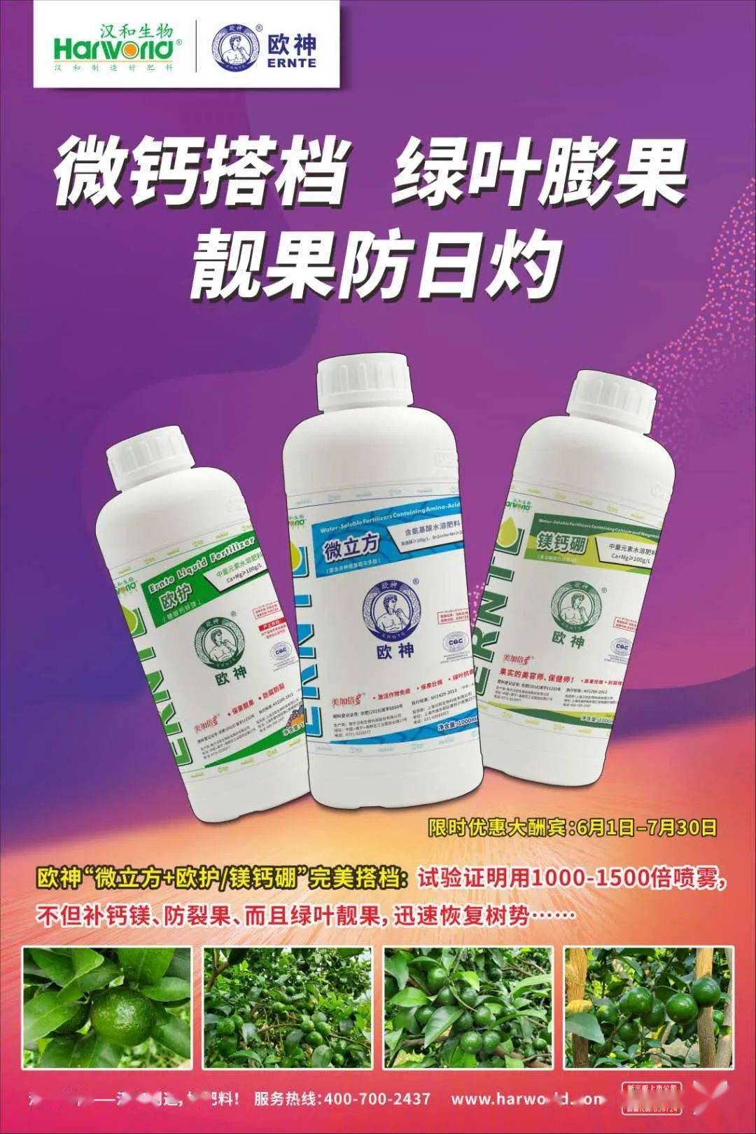 隔着玻璃晒太阳能补钙吗(隔着玻璃晒太阳可以补充钙吗)-硒宝网