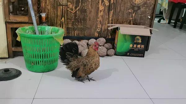 买锌硒宝可以报销吗(锌硒宝为啥药店不卖)-硒宝网