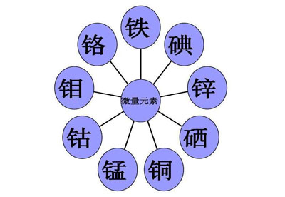 26个微量元素简称（简称微量元素是指）-硒宝网