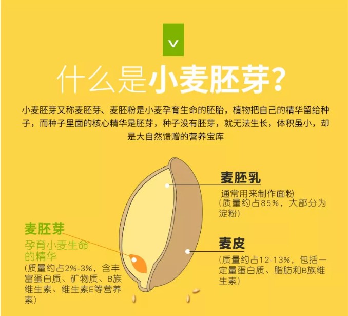 锌硒宝和免疫球蛋白（蛋白锌锌硒宝）-硒宝网