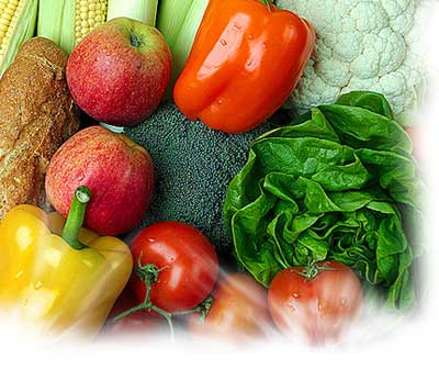 微量元素英语(微量元素英语翻译)-硒宝网