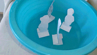 微量元素英语(微量元素英语单词)-硒宝网