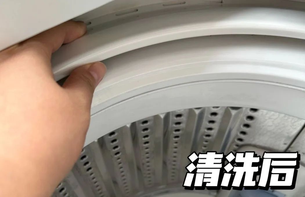 微量元素英语(微量元素英语单词)-硒宝网