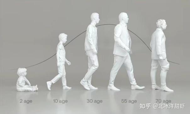 中老年人补钙哪种最好(中老年人补钙哪种最好)-硒宝网