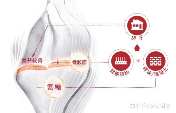 中老年人补钙哪种最好(中老年人补钙哪种最好)-硒宝网