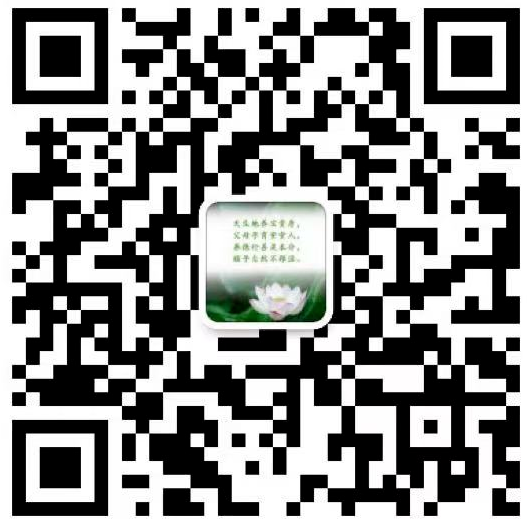 锌硒宝备孕吃没事吧(备孕吃锌硒片)-硒宝网