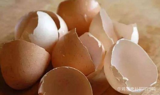 鸡蛋可以补钙吗(鸡蛋可不可以补钙)-硒宝网