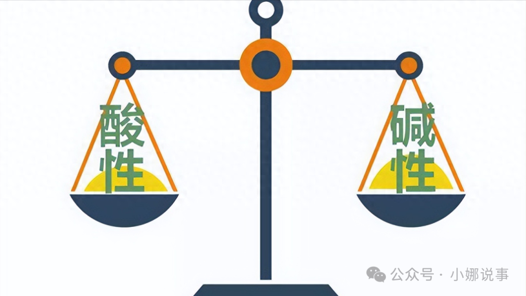 吃什么东西补铁（吃铁补铁吗）-硒宝网