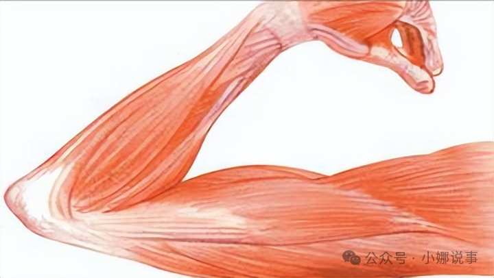 吃什么东西补铁（吃铁补铁吗）-硒宝网