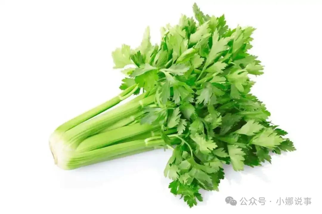 吃什么东西补铁（吃铁补铁吗）-硒宝网