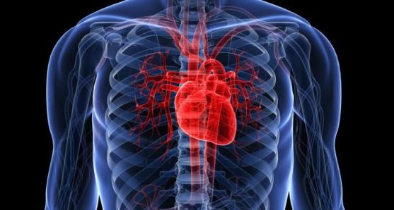 老年人如何正确补钙（老年人科学补钙）-硒宝网