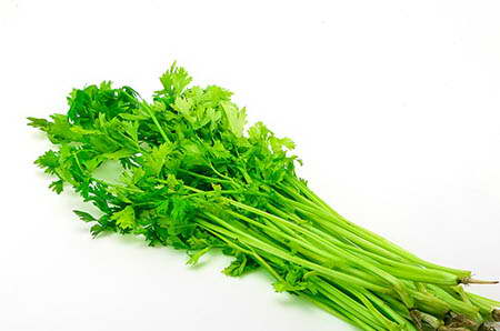 查儿童微量元素挂什么科（查微量元素挂儿科还是儿保）-硒宝网