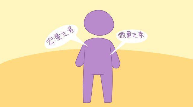 儿童查微量元素挂什么科(微量元素挂什么科儿童医院)-硒宝网