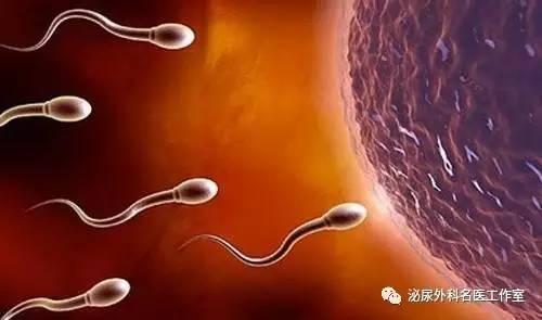 锌硒宝能治疗弱精吗（锌能治疗宝硒弱精症吗）-硒宝网