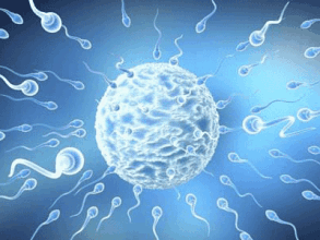 锌硒宝能治疗弱精吗（锌能治疗宝硒弱精症吗）-硒宝网