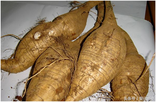 心血管可以吃锌硒宝(锌对心脑血管的作用)-硒宝网