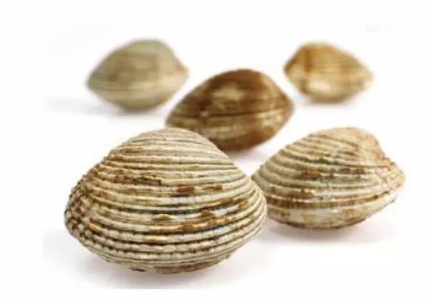 心血管可以吃锌硒宝(锌血管)-硒宝网