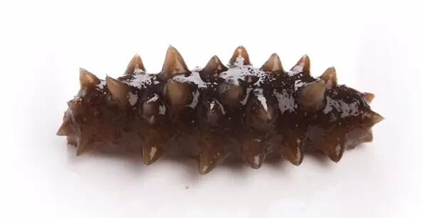 心血管可以吃锌硒宝(锌血管)-硒宝网