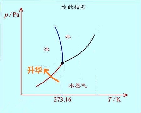 碘属于什么元素（碘元素属于金属元素吗）-硒宝网
