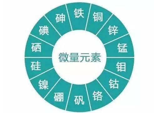 怎样查微量元素(查微量元素挂什么科)-硒宝网