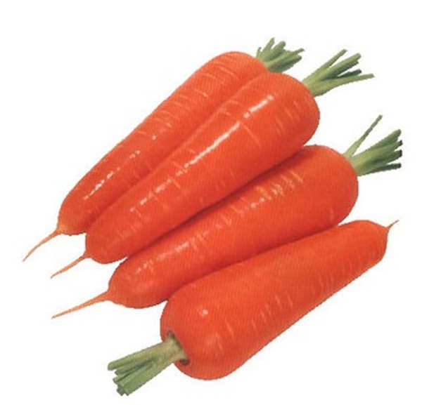 西兰花补铁吗（兰花缺铁有什么症状）-硒宝网