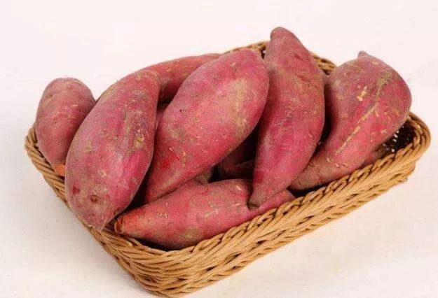 西兰花补铁吗（兰花缺铁有什么症状）-硒宝网