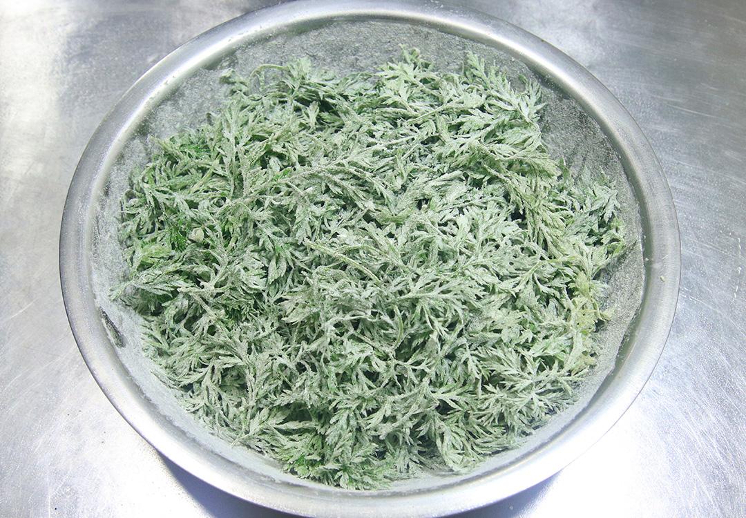 吃什么菜补钙最快最好（补钙可以多吃点什么菜）-硒宝网